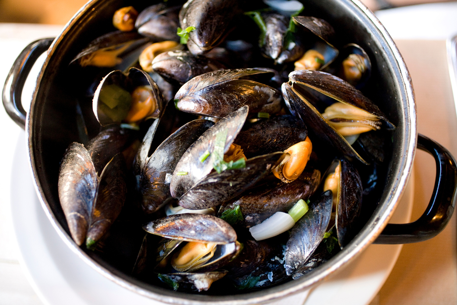 Mussels