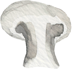 Watercolor Mushroom Clipart