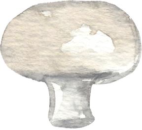 Watercolor Mushroom Clipart