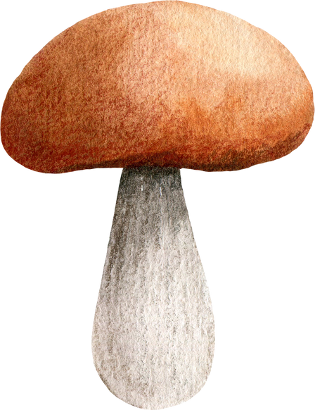Autumn Mushroom with Brown Cap