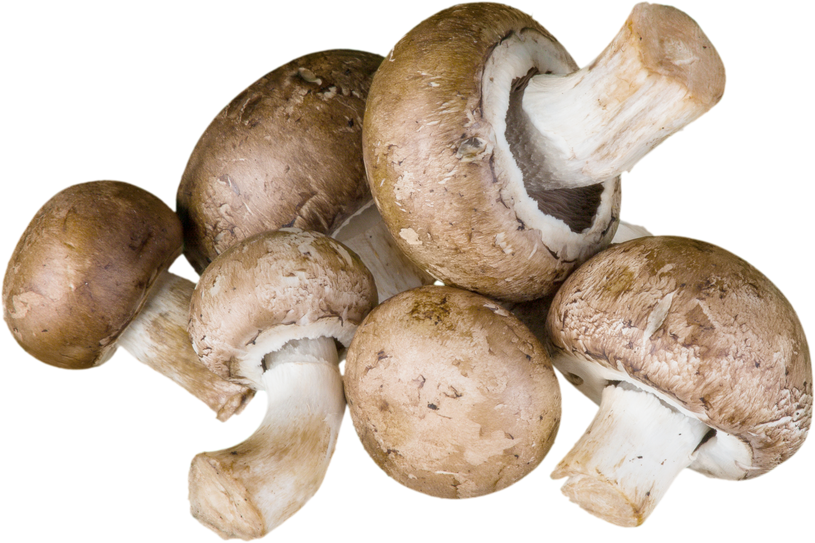 Photo of Crimini Mushrooms 