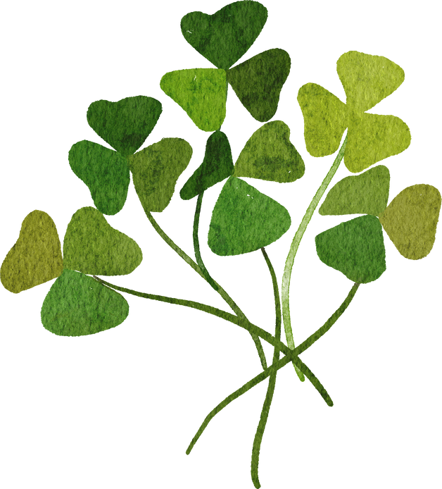 wood sorrel