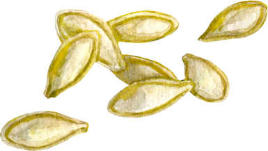 Watercolor Pumpkin Seeds