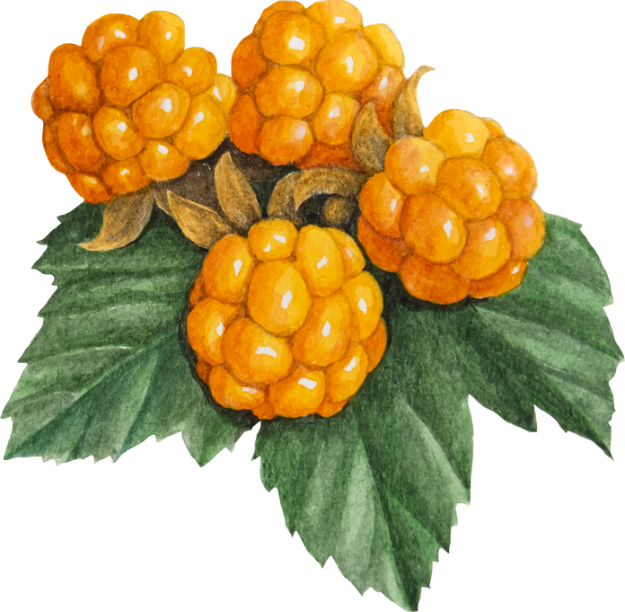 cloudberry