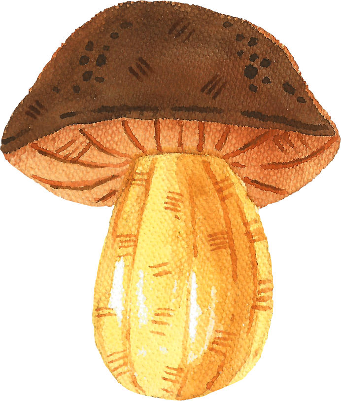 Watercolor of Mushroom
