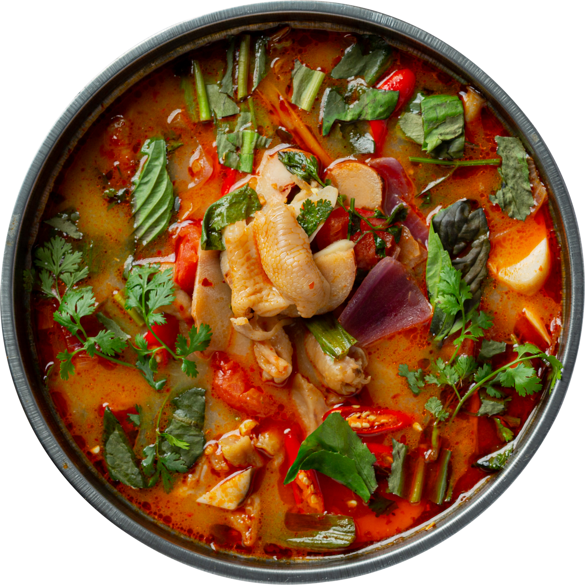 thai food. spicy chicken tendon soup.