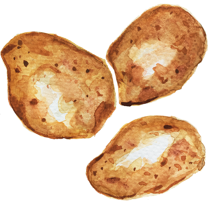 Watercolor Potato Food Ingredient