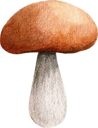 Autumn Mushroom with Brown Cap